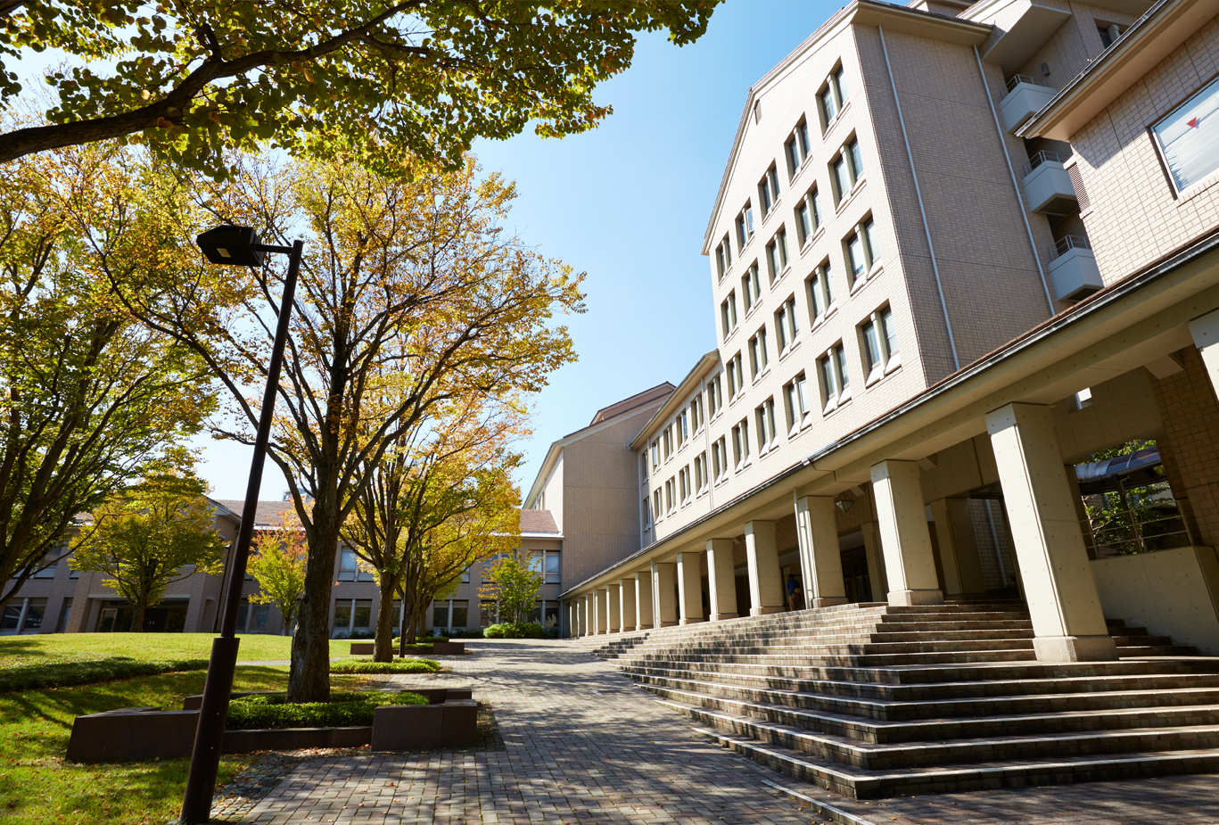 東京都立大学